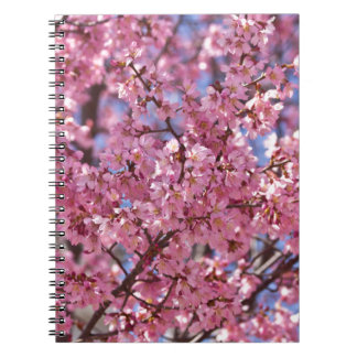 Caderno Espiral Sakura Pink Chersom Sky