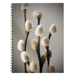 Caderno Espiral Salgueiros de bichano