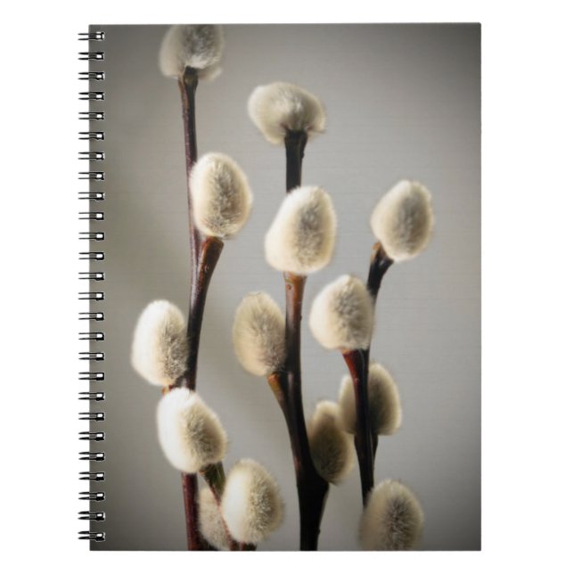 Caderno Espiral Salgueiros de bichano (Frente)