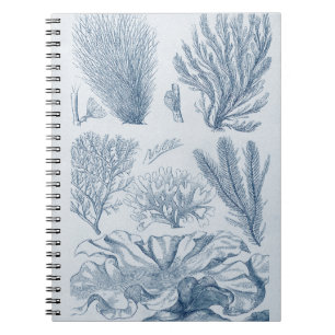 Caderno Espiral Salife náutico