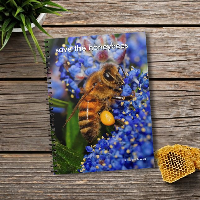 Caderno Espiral Salve as Abelhas de mel Polinizando o Lilac da Cal (Honeybee Pollinating the California Lilac Journal Cover Photo)