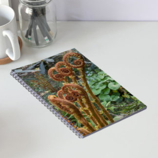 Caderno Espiral Samambaia Fiddleheads Botânico