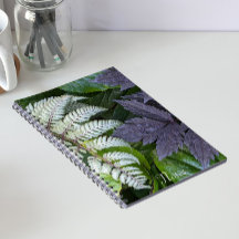 Samambaia Pintada Japonesa e Folhagem Floral