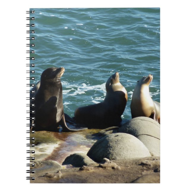Caderno Espiral San Diego Sea Lions (Frente)