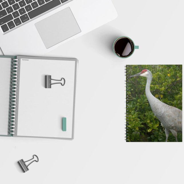 Caderno Espiral Sandhill Crane Bird Green deixa foto (A notebook featuring a photo of a sandhill crane in front of green leaves.)