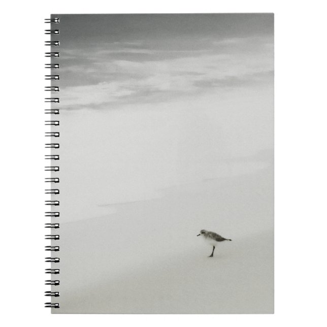 Caderno Espiral Sandpiper costeiro na praia (Frente)