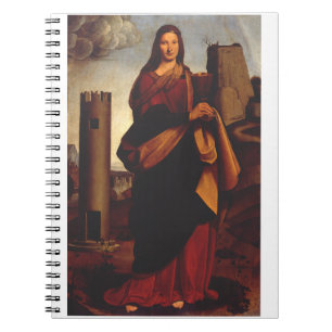 Caderno Espiral Santo Barbara por Giovanni Antonio Boltraffio