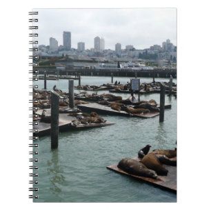 Caderno Espiral São Francisco e Pier 39 Sea Lions City Skyline