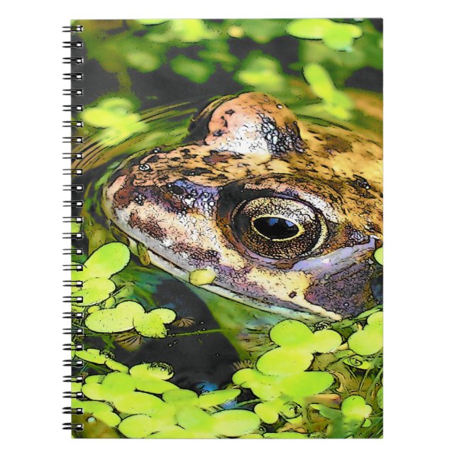 CADERNO ESPIRAL SAPO (Frente)