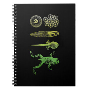 Caderno Espiral Sapo Tadpole Metamorfose Ciclo de Vida Biologia