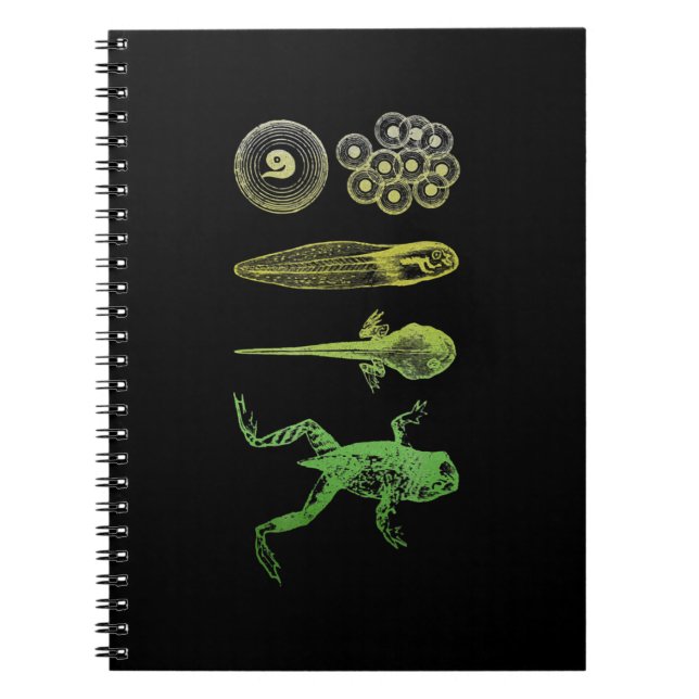 Caderno Espiral Sapo Tadpole Metamorfose Ciclo de Vida Biologia (Frente)