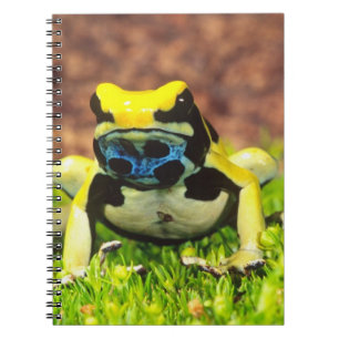 Caderno Espiral Sapo Venenoso Tingente, Dendrobates tinctorius,