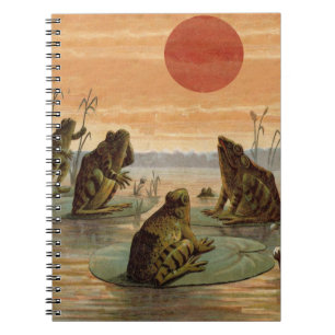 Caderno Espiral Sapos Lily Pads Ilustração da Lua
