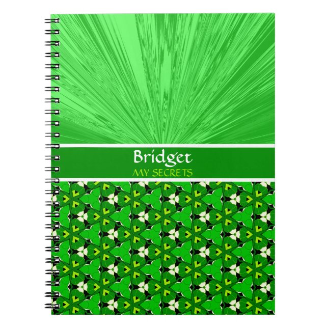 Caderno Espiral Satin Verde e Ivy Meus Segredos Diário Personaliza (Frente)