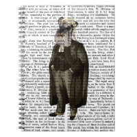 Schnauzer Lawyer