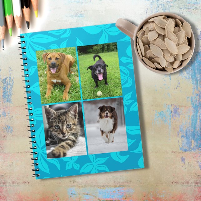 Caderno Espiral School Four Photo Blue Flowers Classroom (Criador carregado)