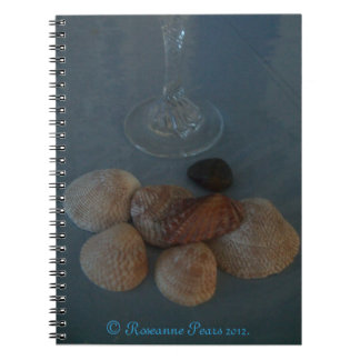 Caderno Espiral SDCs de notebook (Flute&Shells) ©️ 2012