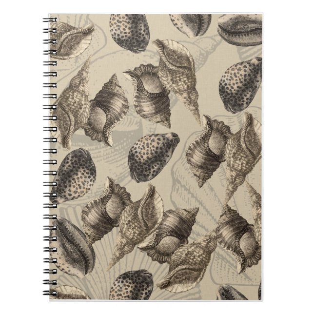 Caderno Espiral Sea Shells (Frente)