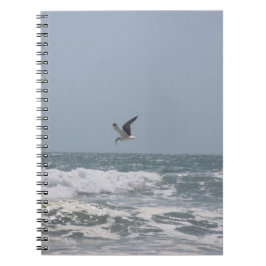Caderno Espiral Seagull