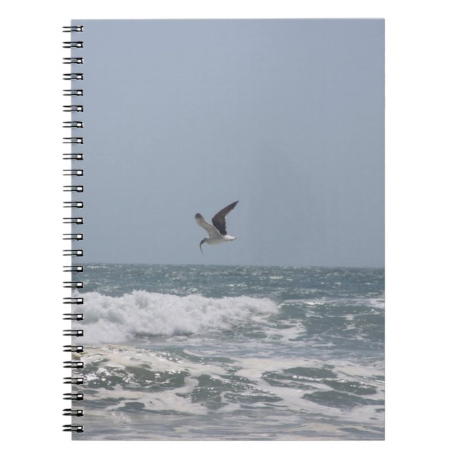 Caderno Espiral Seagull (Frente)