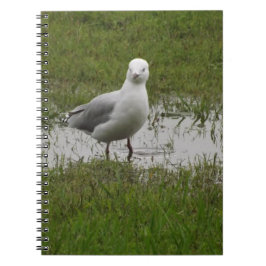 Caderno Espiral Seagull em um poço