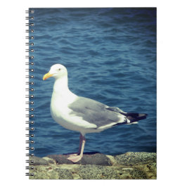 Caderno Espiral Seagull No Compartimento
