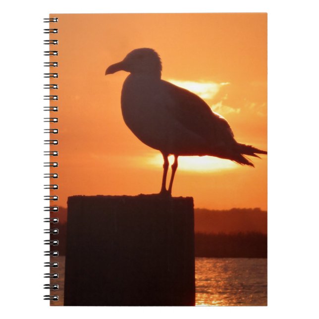 Caderno Espiral Seagull Sunset (Frente)