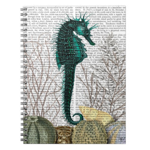 Caderno Espiral SeaHorse e Sea Urchins 2
