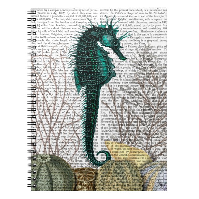 Caderno Espiral SeaHorse e Sea Urchins 2 (Frente)
