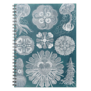 Caderno Espiral Sealife Blueprint IV