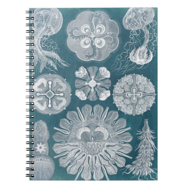 Caderno Espiral Sealife Blueprint IV (Frente)