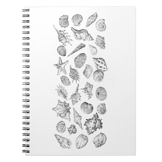 Caderno Espiral Seashell Bath Towel Set (Frente)