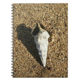 Caderno Espiral Seashell na praia