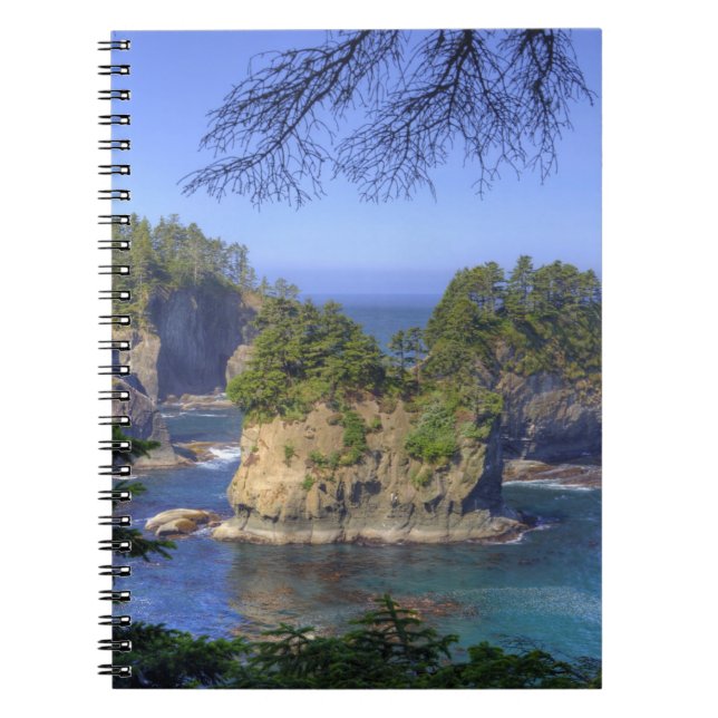 Caderno Espiral Seastacks, Terras Tribais Makah Nation, Cabo (Frente)