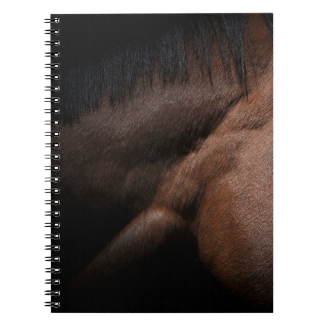 Caderno Espiral Seattle (Frente)