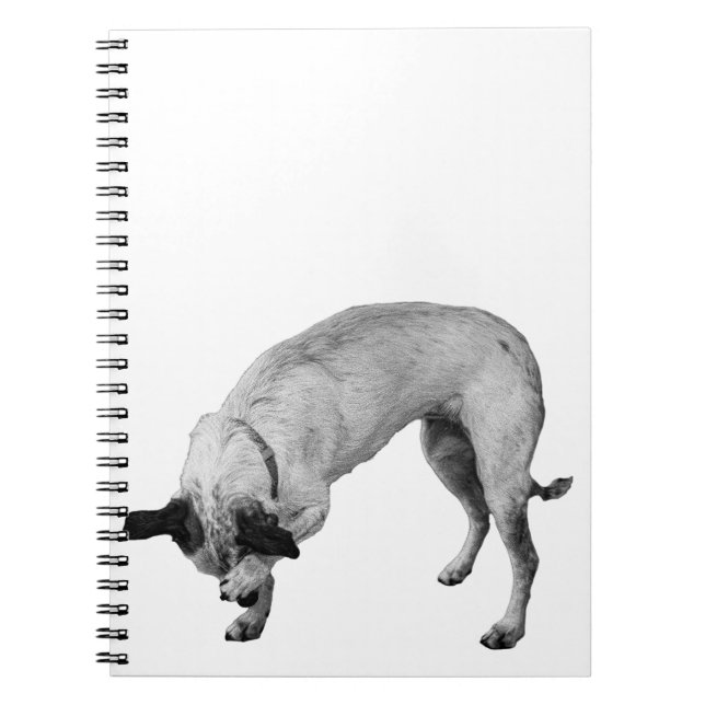 Caderno Espiral Secret Lists Terrier (Frente)