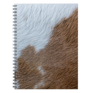Caderno Espiral Século Médio