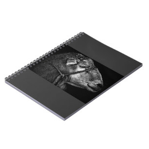 Caderno Espiral seguindo