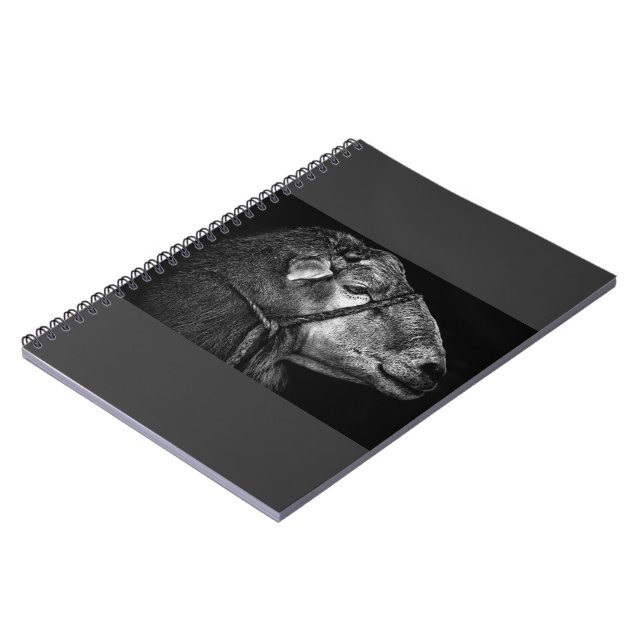 Caderno Espiral seguindo (Left Side)