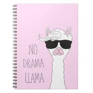 Caderno Espiral Seja um Sem Drama Llama