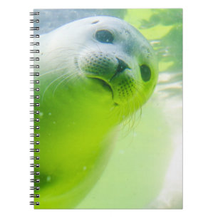 Caderno Espiral Selo Bonito Embaixo da Água