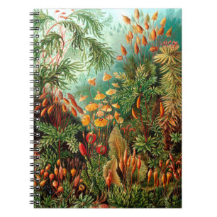 Caderno Espiral Selva
