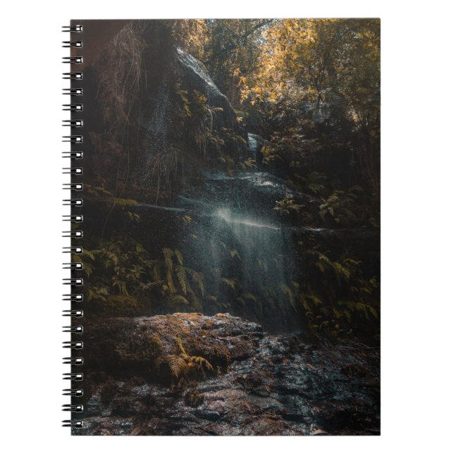 Caderno Espiral Selva (Frente)