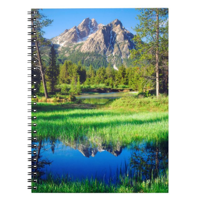 Caderno Espiral Selvagem de Sawtooth (Frente)