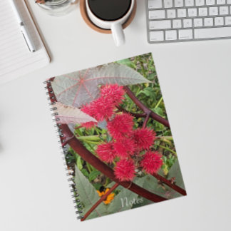 Caderno Espiral Sementes De Castor Vermelho