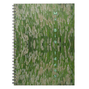 Caderno Espiral Sementes De Grãos Verdes Altas