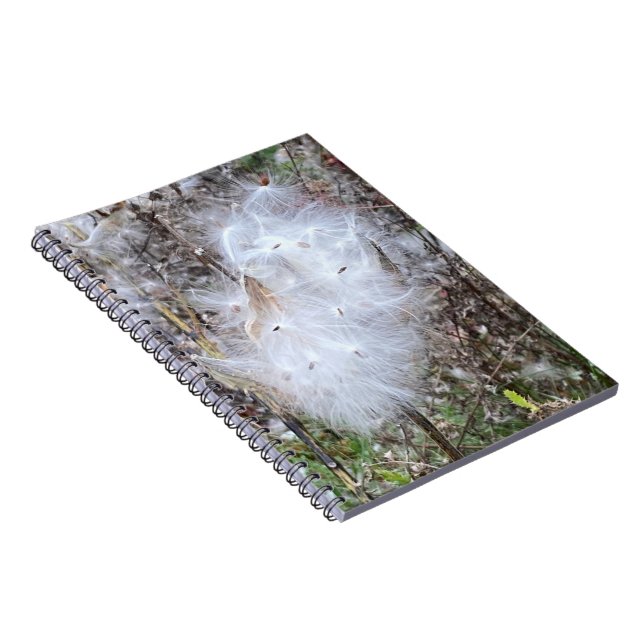 Caderno Espiral Sementes de Milkweed e Espiral de Seda (Lado Direito)