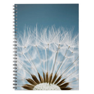 Caderno Espiral Sementes do dente-de-leão
