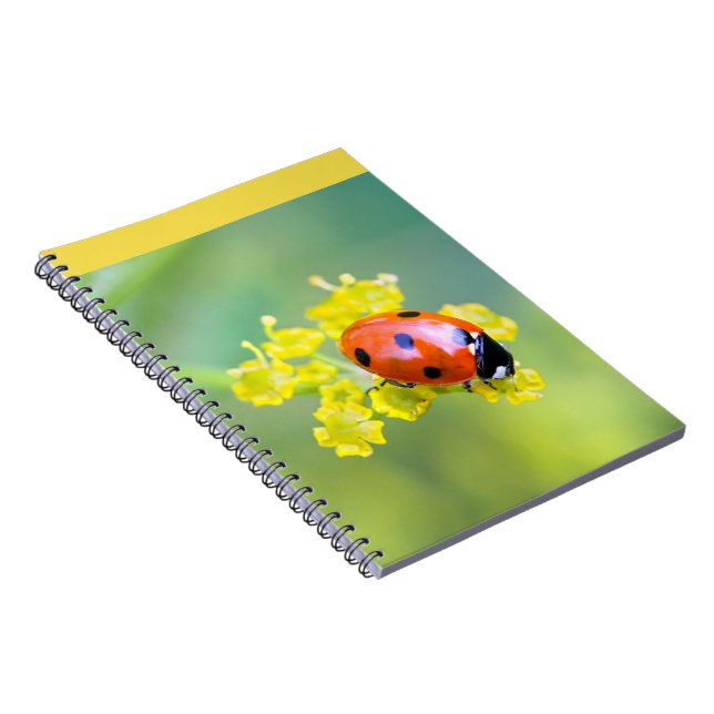Caderno Espiral senhora por cima (Lado Direito)