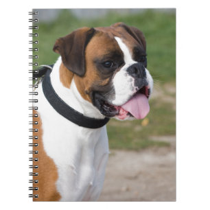 Caderno Espiral Sentado do Boxer